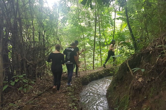 1 Day Trekking in Chiang Mai - How the 8:00 am start turns into a full-day mountain circuit