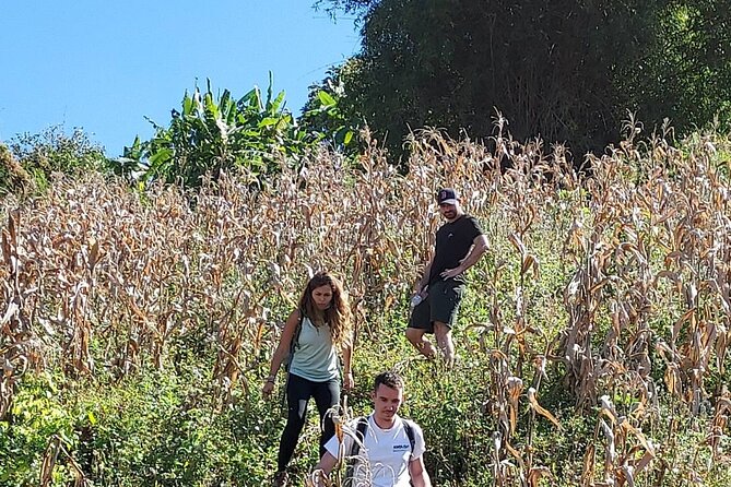 1 Day Trekking in Chiang Mai - Hilltribe village time and herbal medicine lessons