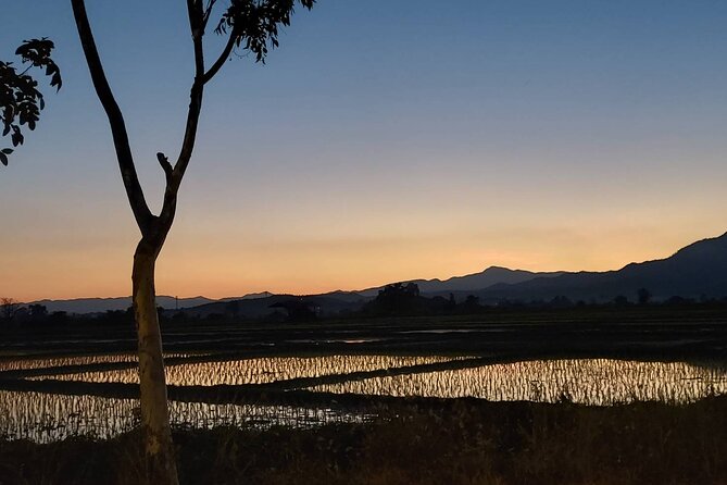 1 Day Trekking in Chiang Mai - Lunch near rice fields: where the day slows down