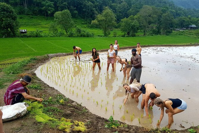 1 Day Trekking in Chiang Mai - Your guide matters: Loolu and Ross set the tone