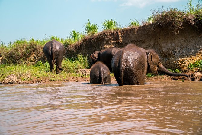11 Day Tuk Tuk Adventure in Northern Thailand - Why a self-drive tuk-tuk beats the usual Northern Thailand circuit