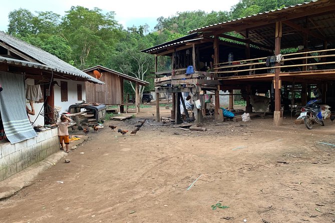 2-Day Kindred Spirit Elephant Sanctuary in Chiang Mai - Day 2 with Free-Roaming Elephants: Forest Hiking and Jungle Lunch