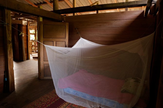 2-Day Kindred Spirit Elephant Sanctuary in Chiang Mai - Price and What You Really Get for $216.51