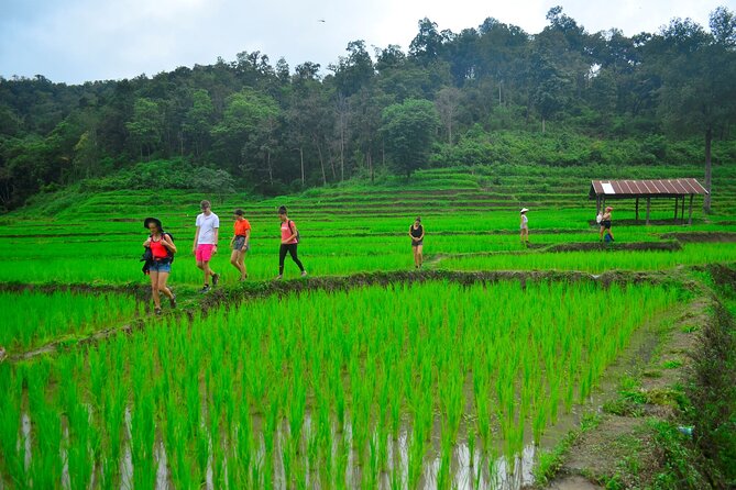2 Days Hiking Tour in Chiang Mai - Arriving at the Karen village and understanding life from inside the day