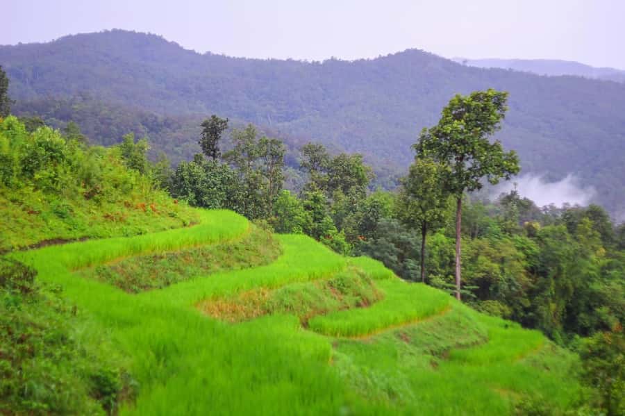 2days 1night : Trekking with Karen people and Doi Inthanon - Key highlights worth your attention