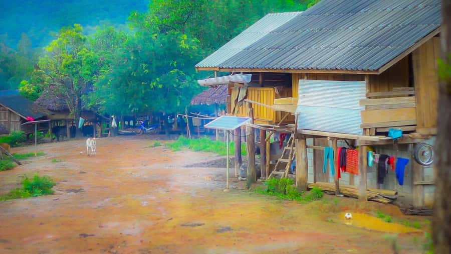 2days 1night : Trekking with Karen people and Doi Inthanon - Karen hill tribe overnight: cooking, house life, and rice-field rhythms