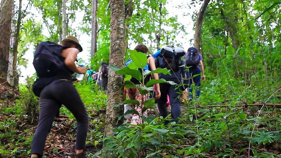 2days 1night : Trekking with Karen people and Doi Inthanon - Pagodas, gardens, Wachirathan waterfall, and the horticulture stop