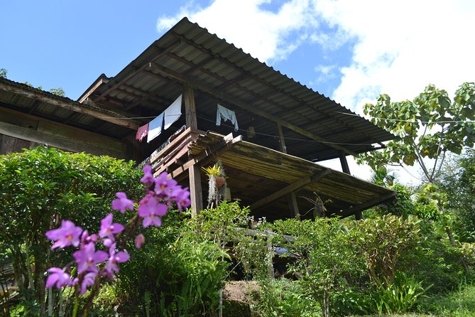 3-Day Chiang Dao Mountain Trek - Chiang Dao North of Chiang Mai: Why This Trek Feels Different