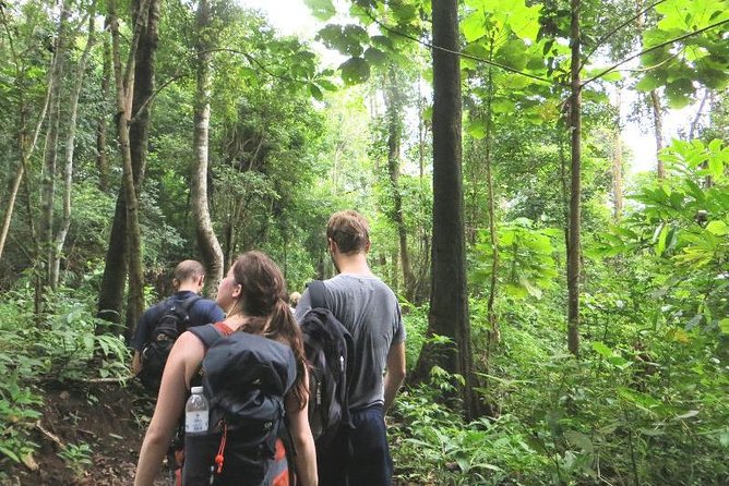 3-Day Chiang Dao Mountain Trek - Pickup, Timing, and the Start at Le Dta’ Wan Food Market