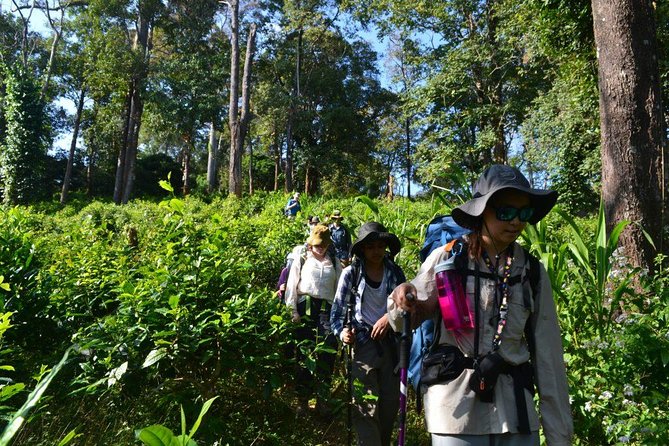 3-Day Chiang Dao Mountain Trek - Homestays and Home-Cooked Thai Meals: Simple, Real, and Worth It