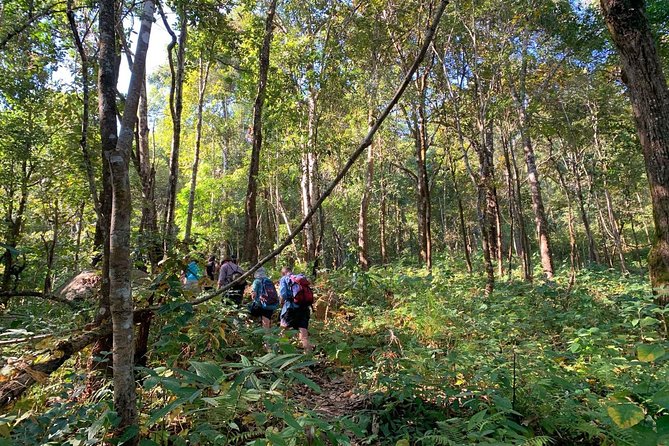 3-Day Chiang Dao Mountain Trek - How the Guides Change the Trail: Tan, Sap, and Jungle-Ready Storytelling