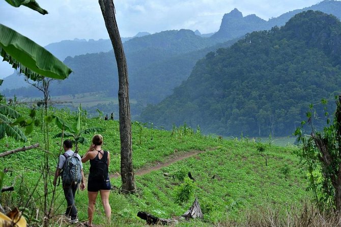 3-Day Chiang Dao Mountain Trek - Price and Value: Is $256 Fair for Three Days in Chiang Dao?