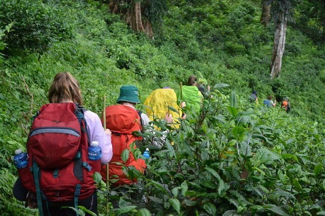 3 Day Motorcycle Tour (Mae Hong Son Loop) from Chiang Mai, Thailand - Bikes, gear, insurance, and the safety stuff that actually matters