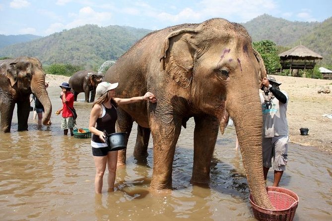 3D2NTrek Adventure at Chiang Mai Mea Wang Including Overnight at Karen Hilltribe - Logistics and group feel: what to expect from a max-10 trek
