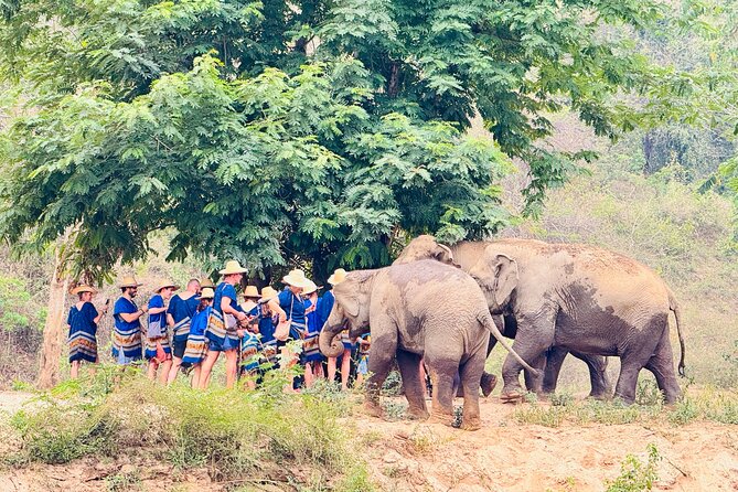 4 in 1 Elephants Long Neck Rafting and Sticky Waterfall Tour - What to Bring (and What to Skip) for a Smooth 10-Hour Day