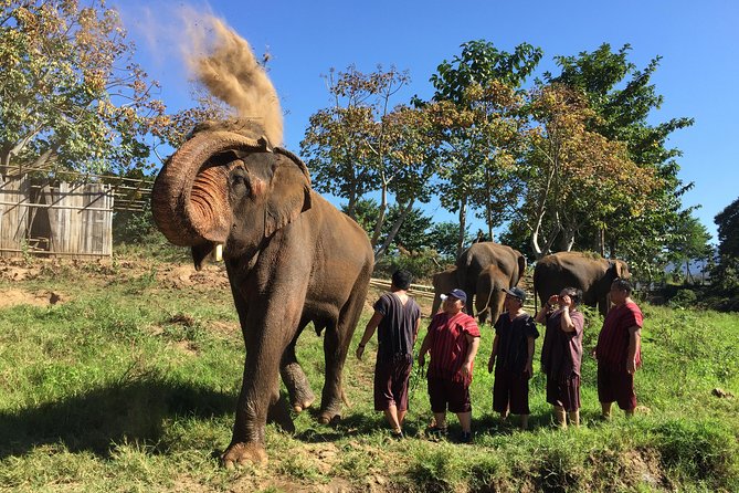 5 Day Tuk Tuk Adventure in Chiang Mai - with driver - Day 1 near Mae Wang National Park: your first mountain base
