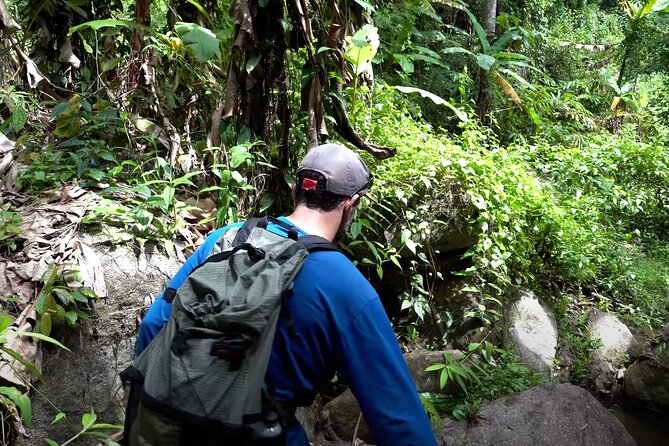 8KM White Water Rafting and 3HRS Jungle Trekking Adventure - Pickup In Chiang Mai: The Day Starts Before the Adventure