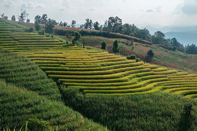 A Day Trip to Doi Inthanon Escape to Nature - Lunch in the mountains: vegan, vegetarian, gluten-free, halal