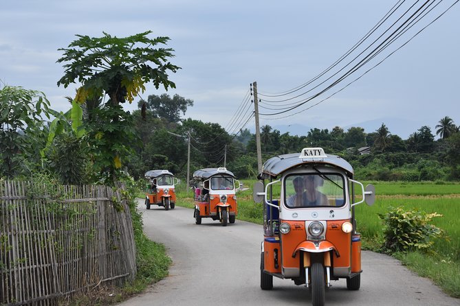 A stunning 11 Day Tuk Tuk Adventure in Northern Thailand - with driver - Quick hits: what makes this tuk-tuk trip work so well