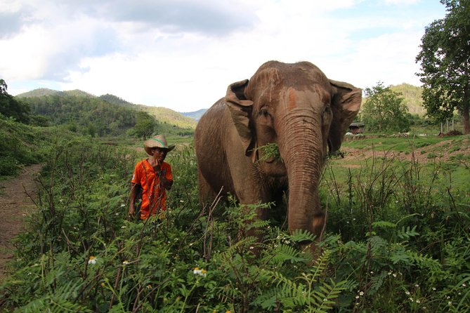 A stunning 11 Day Tuk Tuk Adventure in Northern Thailand - with driver - First meet-up in Chiang Mai Gate: your base for a very different kind of trip