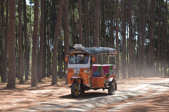 A stunning 11 Day Tuk Tuk Adventure in Northern Thailand - with driver - Mae Hong Son temple stop and a rest-day option: temples plus downtime