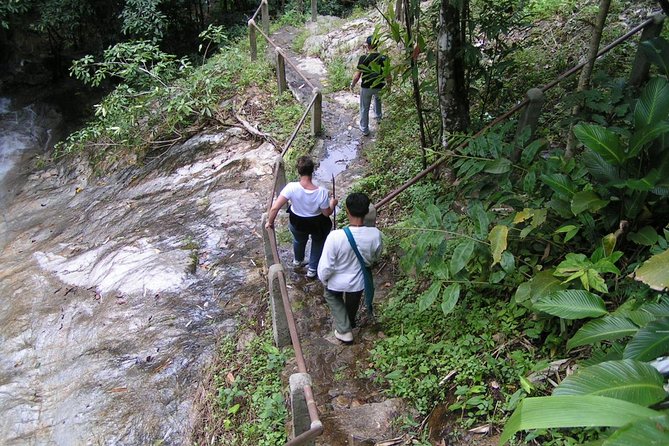 Authentic Mae Kham Pong Village Cultural Experience - Mae Kampong village walk: Karen community life in view