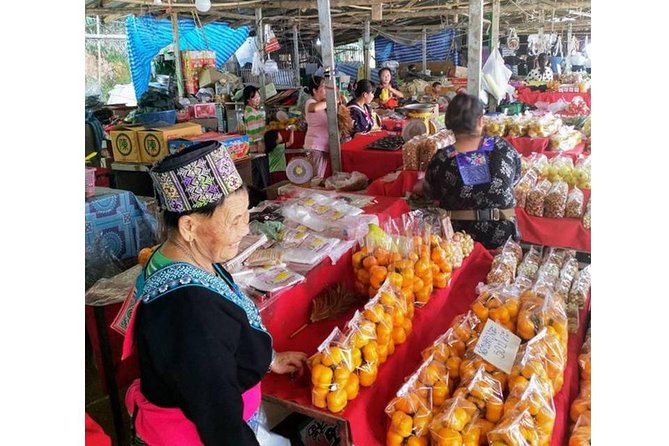 Best Places in Chiang Rai White, Blue, Big Buddha, Tea Plantation - Singha Park tea plantation: scenic breaks, but don’t expect a long lesson