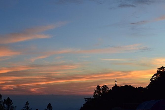 Bird Watching Doi Inthanon - Doi Inthanon’s early start: why 5:00 am makes sense for birds