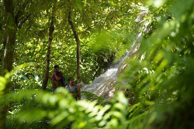 Bua Tong Waterfall Adventure& Huge Cave included Thai Buffet Tour - Picnic lunch and snacks: why the included meal actually matters