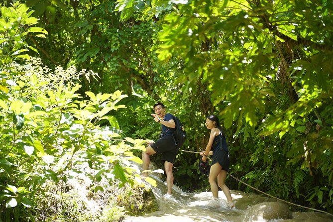 Bua Tong Waterfall Adventure& Huge Cave included Thai Buffet Tour - Price and value: is $34.07 worth it?