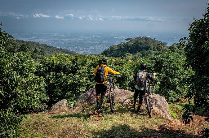 Buffalo Soldier Full Day Mountain Biking Tour Chiang Mai - What the riding feels like in real life: climbs, descents, and wet-mud reality