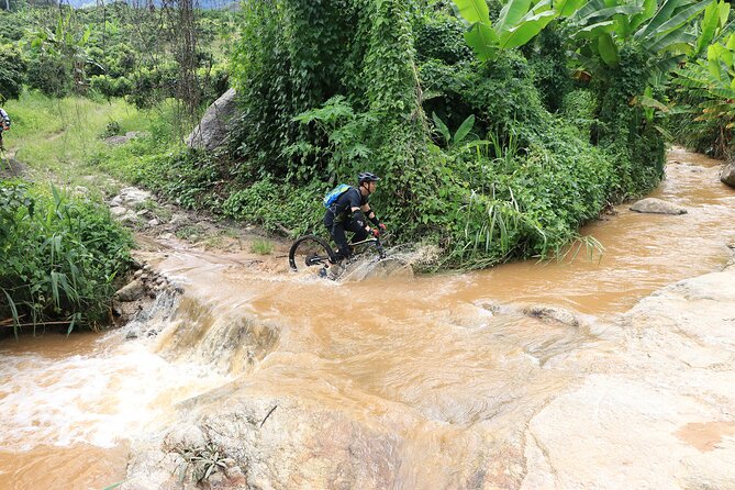 Buffalo Soldier Full Day Mountain Biking Tour Chiang Mai - Value check: is $114.03 a good deal for Chiang Mai MTB?