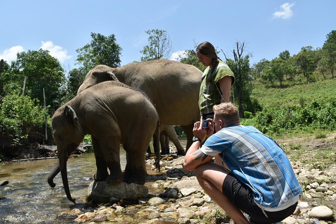 Care Pride Elephants: Full-Day Tour Experience - Mud bath and river rinse: the messy highlight