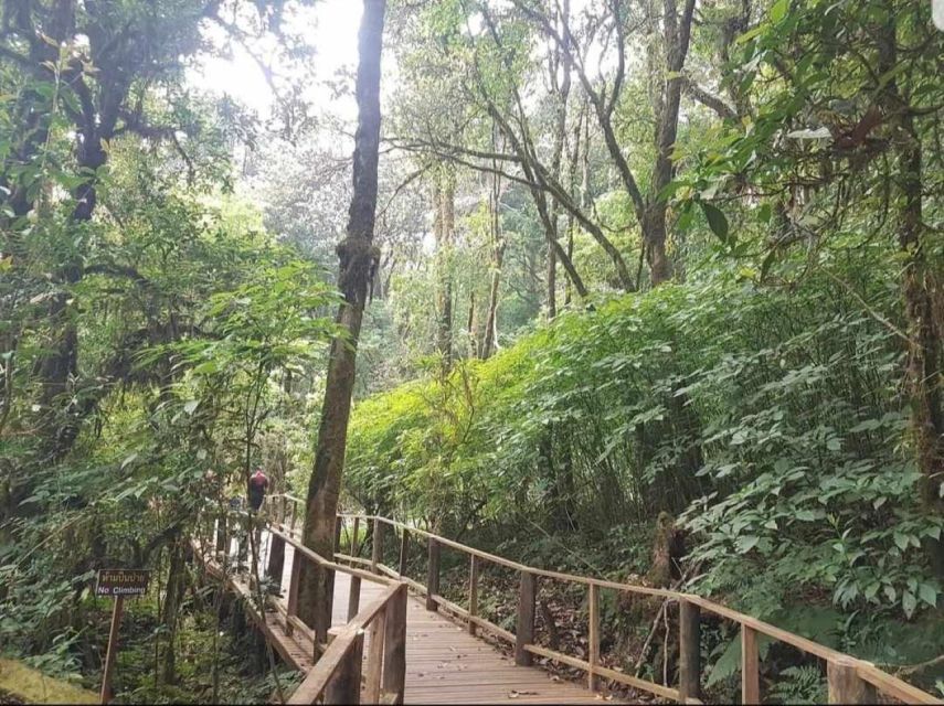 Chang Mai: Doi Inthanon Day Tour w/Waterfalls & Hilltribes - Getting Started: Pickup Timing and How the Day Really Flows