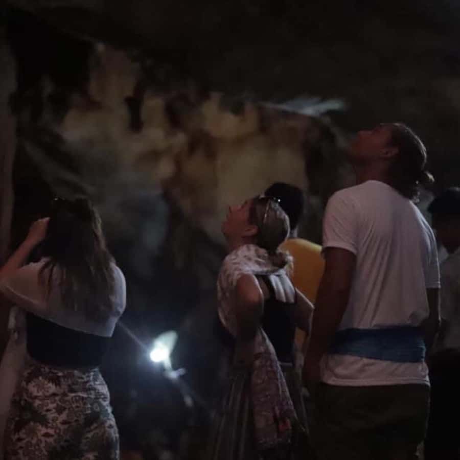 Chiang Dao Cave, Sticky Waterfall, Baan Den Temple Private - Price and value: what $125 per person covers