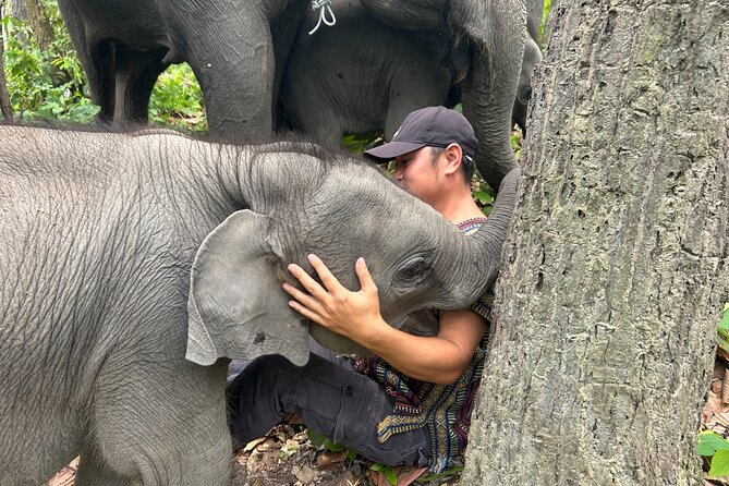Chiang Mai 1 Day: Elephant Sanctuary, Waterfall & Bamboo Rafting - The Drive Up to Doi Inthanon: Market Stop and Morning Timing