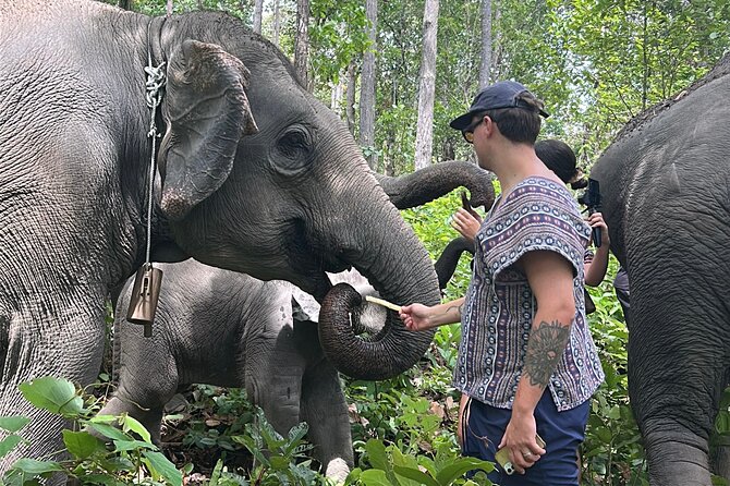 Chiang Mai 1 Day: Elephant Sanctuary, Waterfall & Bamboo Rafting - Mae Saphok Waterfall: Lunch by the Water and a Thai-Style Reset