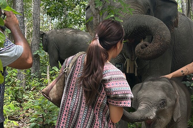 Chiang Mai 1 Day: Elephant Sanctuary, Waterfall & Bamboo Rafting - Bamboo Rafting Down the River: Slow Movement, Real Scenery