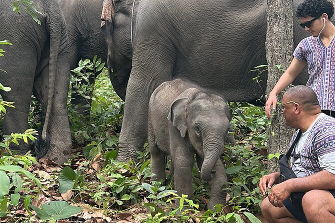 Chiang Mai 1 Day: Elephant Sanctuary, Waterfall & Bamboo Rafting - Price and Value: Is $77.99 Really Fair?
