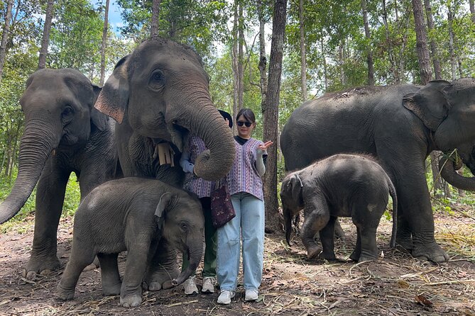 Chiang Mai 1 Day: Elephant Sanctuary, Waterfall & Bamboo Rafting - Who Should Book This Tour (and Who Should Think Twice)