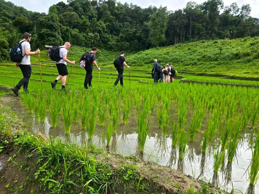 Chiang Mai: 1-Day Trekking Experience to Village & Waterfall - Afternoon hiking: three more waterfalls along the trail