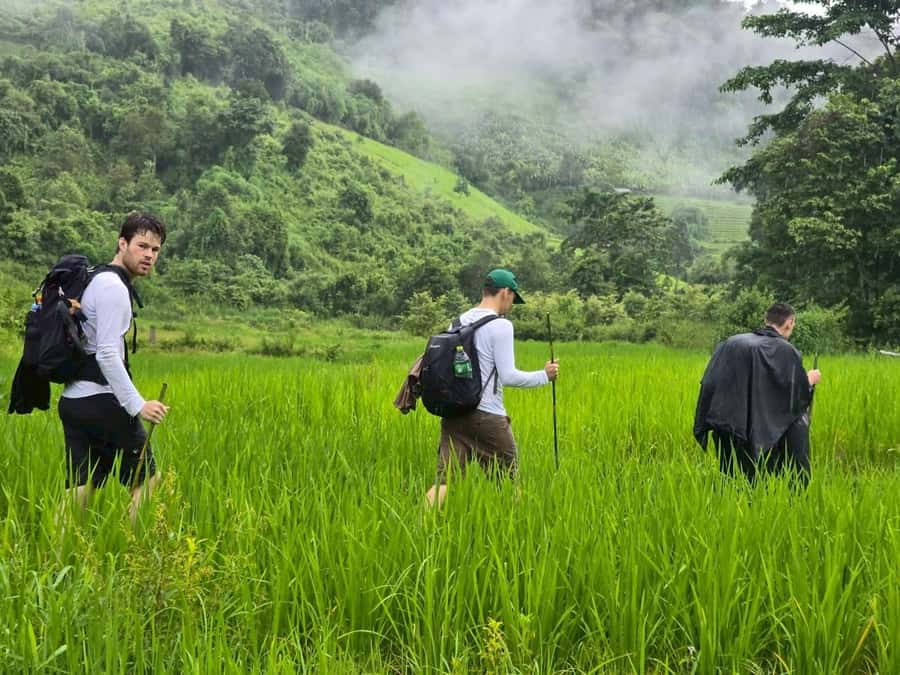 Chiang Mai: 1-Day Trekking Experience to Village & Waterfall - Price and value: what $61 covers and why it’s fair