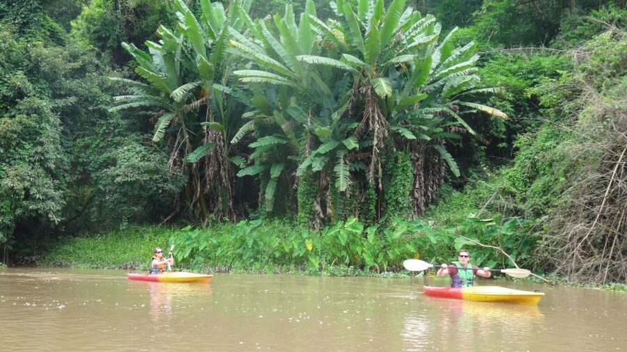 Chiang Mai: 15 km Leisure River Kayaking at Mae Ngat forest - Key things worth knowing before you go