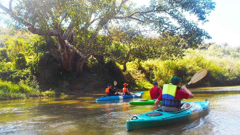 Chiang Mai: 15 km Leisure River Kayaking at Mae Ngat forest - Lunch by the river: a break that keeps the day enjoyable