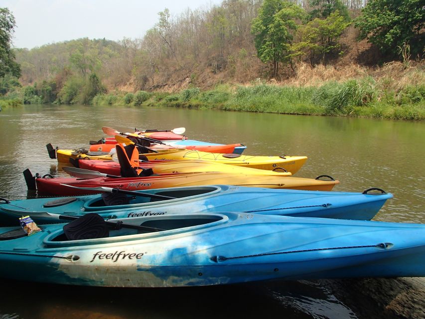 Chiang Mai: 15 km Leisure River Kayaking at Mae Ngat forest - Price and value: what $62 gets you (and what it does not)