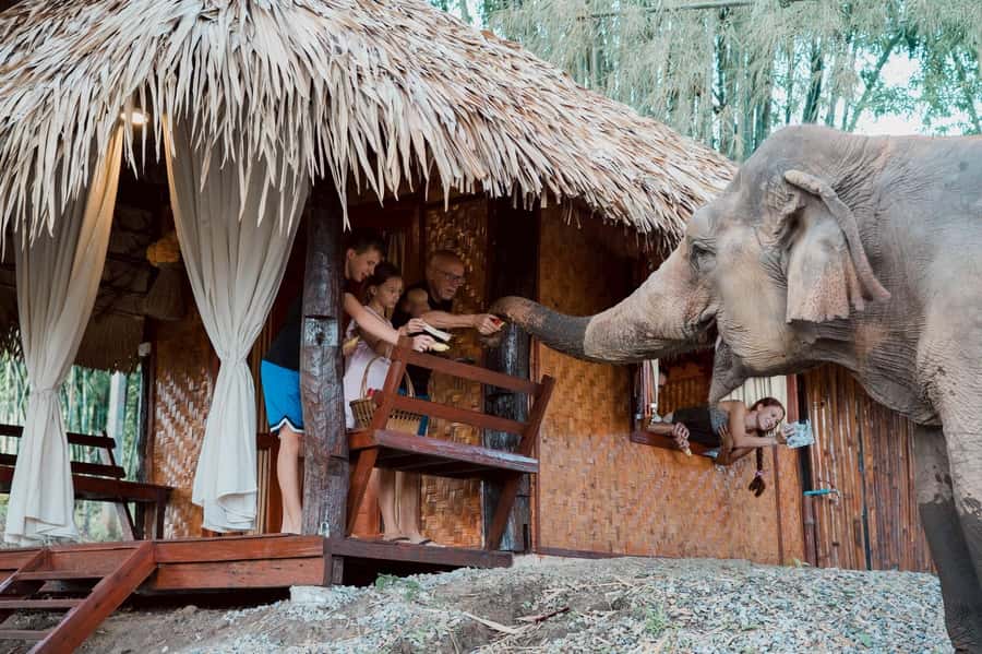 Chiang Mai 2-Day: Good Morning Elephant & Overnight Homestay - Quick Take: What Makes This 2-Day Elephant Plan Work