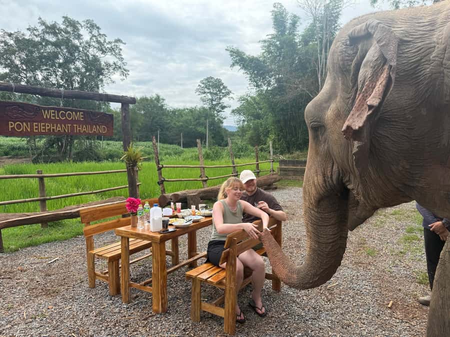 Chiang Mai 2-Day: Good Morning Elephant & Overnight Homestay - The Mae Wang Valley Drive: How Day 1 Gets Your Mind Right