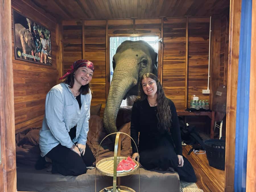 Chiang Mai 2-Day: Good Morning Elephant & Overnight Homestay - Mae Wang Waterfall Swim and Bamboo Rafting Finish