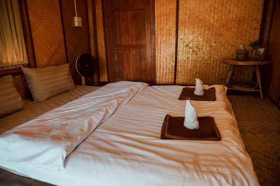 Chiang Mai 2-Day: Good Morning Elephant & Overnight Homestay - Price and Value: Why $128 Can Make Sense Here
