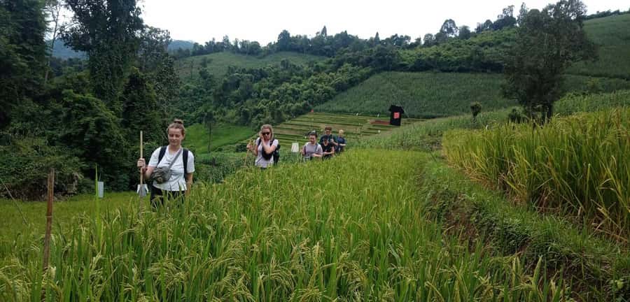 Chiang Mai: 2-Day Jungle Trek with Elephant Farm & Raft Ride - Two Days of Jungle Walking, Karen Nights, and Mae Wang Rafts
